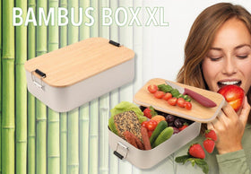 Troika XL Bambus Lunch Box with Classic Clip Lock Design and Bamboo Lid